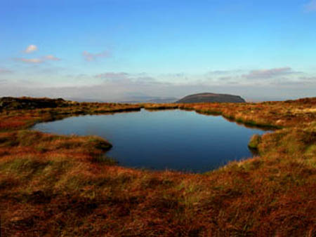 Lake up Arenig Fawr