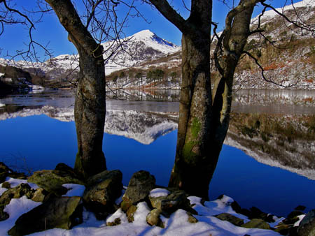 Llyn Gwynant Reflections