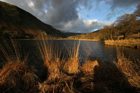 Looking over Llyn Na#20008