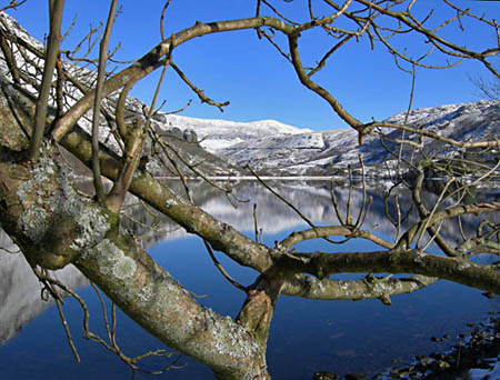 Reflection Llyn Nant#20019