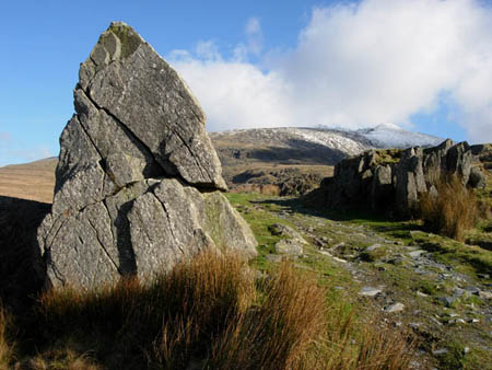 Rhydd Ddu track