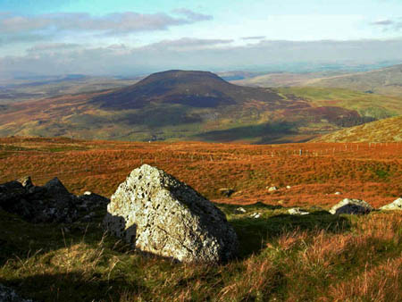 Rock with Arenig Fach