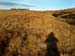 Approaching Stone Circle