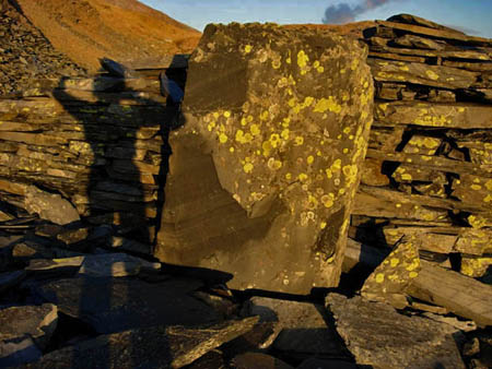 Lichen Rock