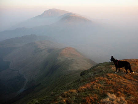 MountIn Lookout