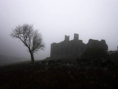 Tree + Ruin in Mist